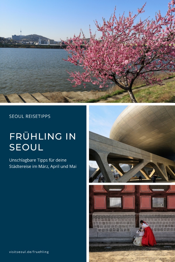 Seoul Frühling: Tipps für deinen Seoul Urlaub im Frühling