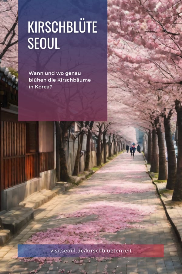 Kirschblütenzeit Seoul: Wo und wann genau blühen die Kirschbäume in Korea?